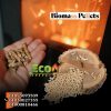 Wood Pellets