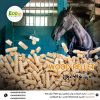 Wood Pellets