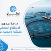 استثمر في  دراسة جدوى مشروع الاستزراع السمكي